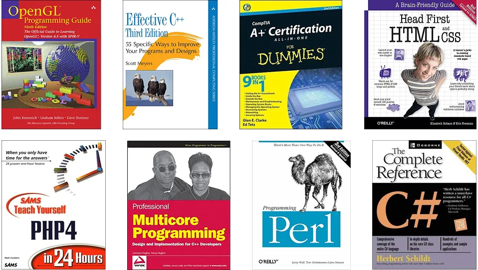 The early-mid 2000s was peak programming-book design.